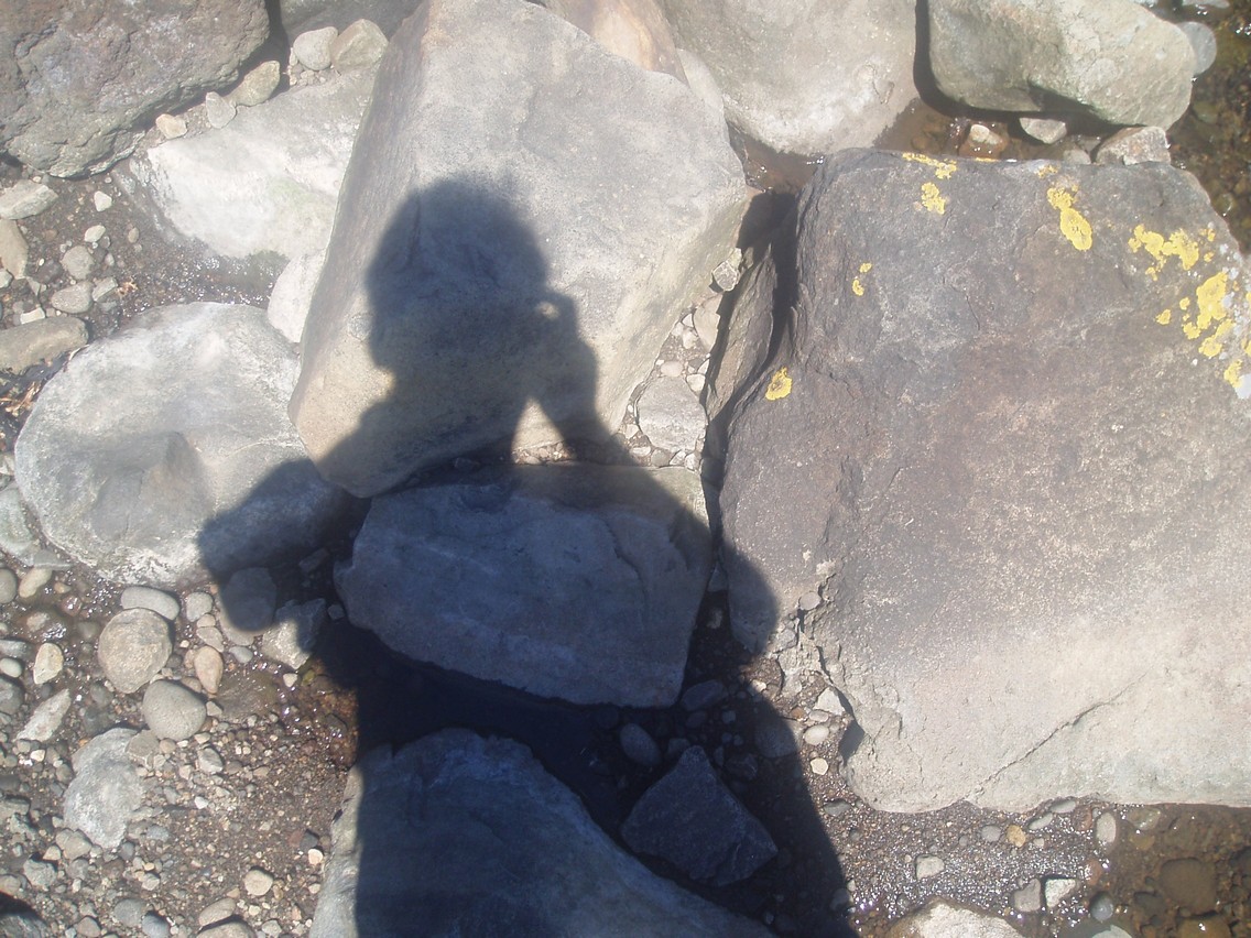 478   07 05   New Plymouth   Foxton